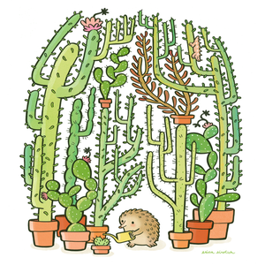 Quilliam's Cactuses