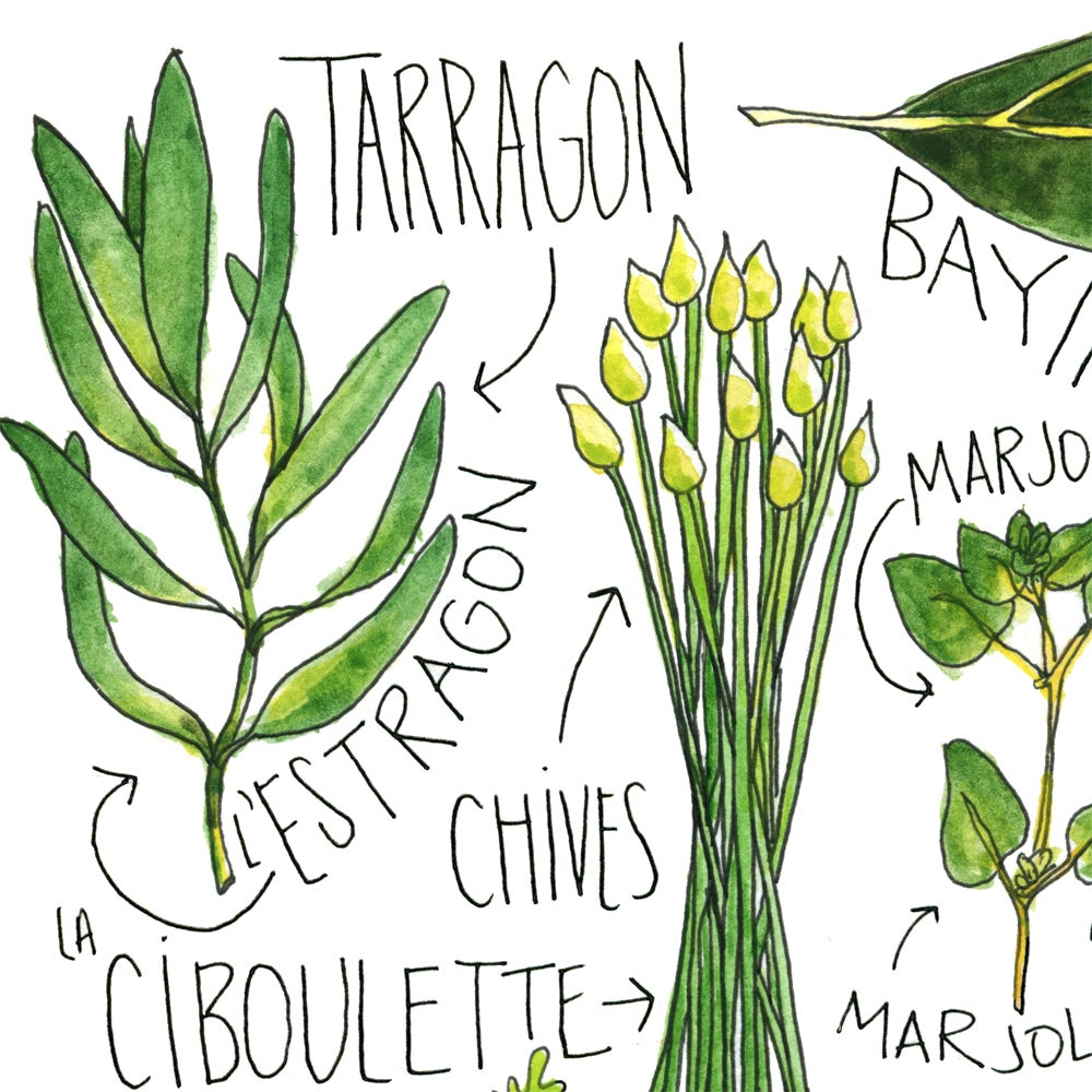 French Herbs Watercolor Print Drywell Art