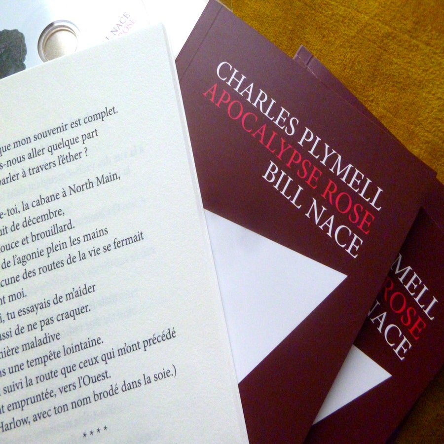 Image of Apocalypse Rose de Charles Plymell / Apocalypse Rose de Bill Nace