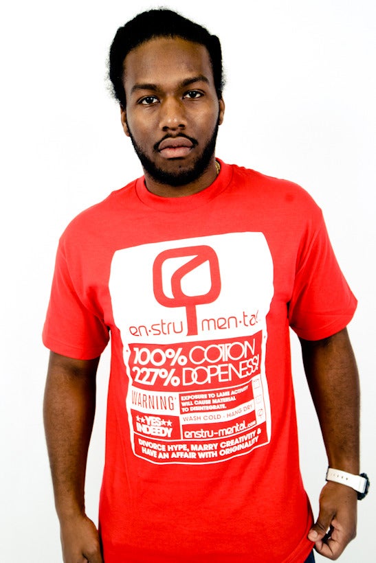 Image of THE INSIDE JOB