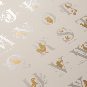 Image of Alphabirds Foil