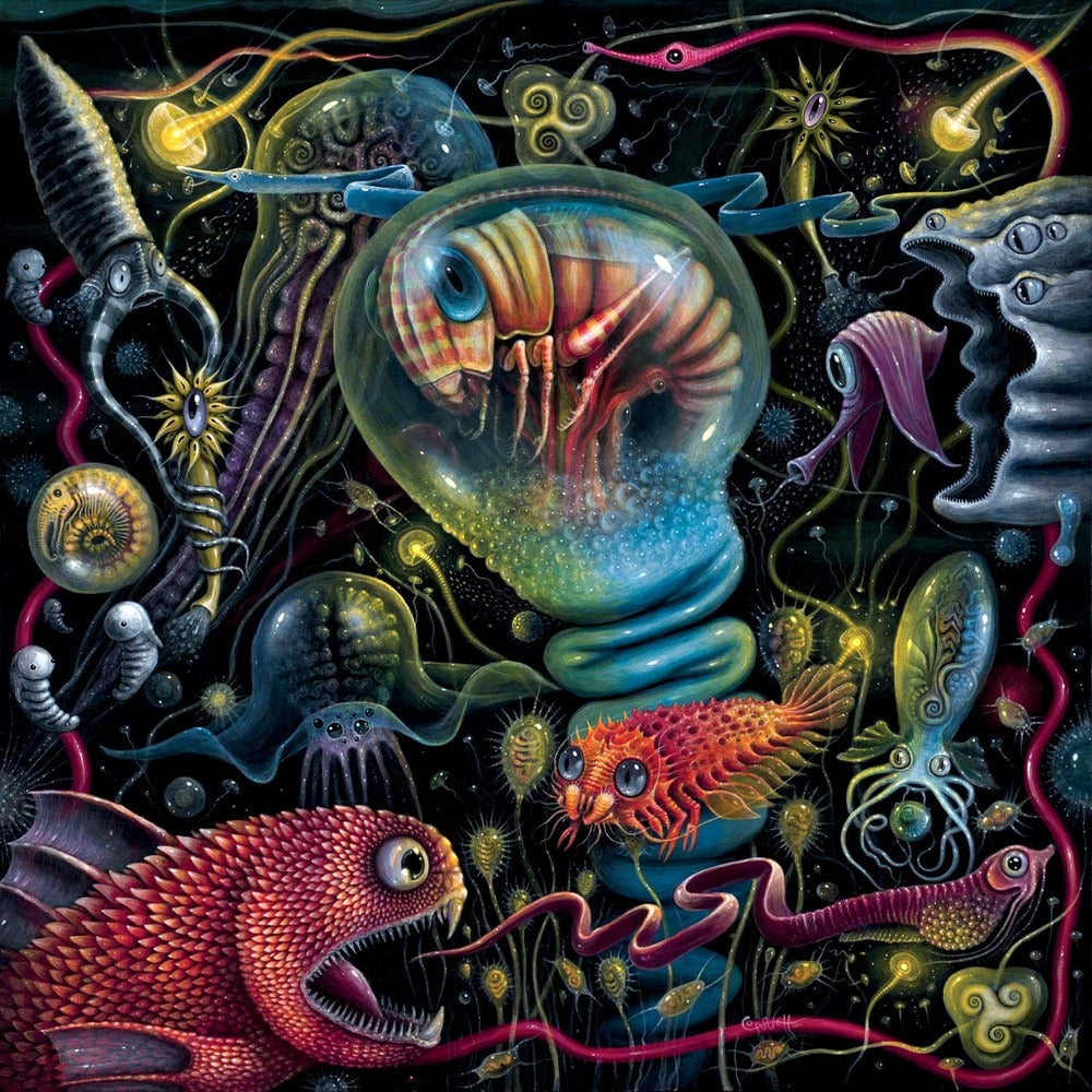 Image of "CREATURES of a LUMINESCENT SEA" 20 x 20" Open Signed Edition