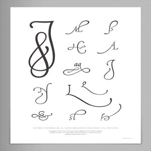 Colosseo 16"x24" Palatino Glyphs Poster (Unsigned)