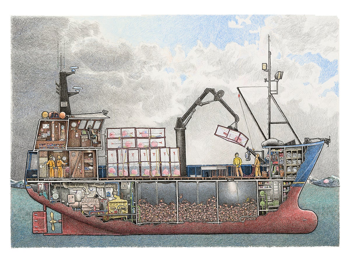 Crabber No 1 17" X 22" / The Scow