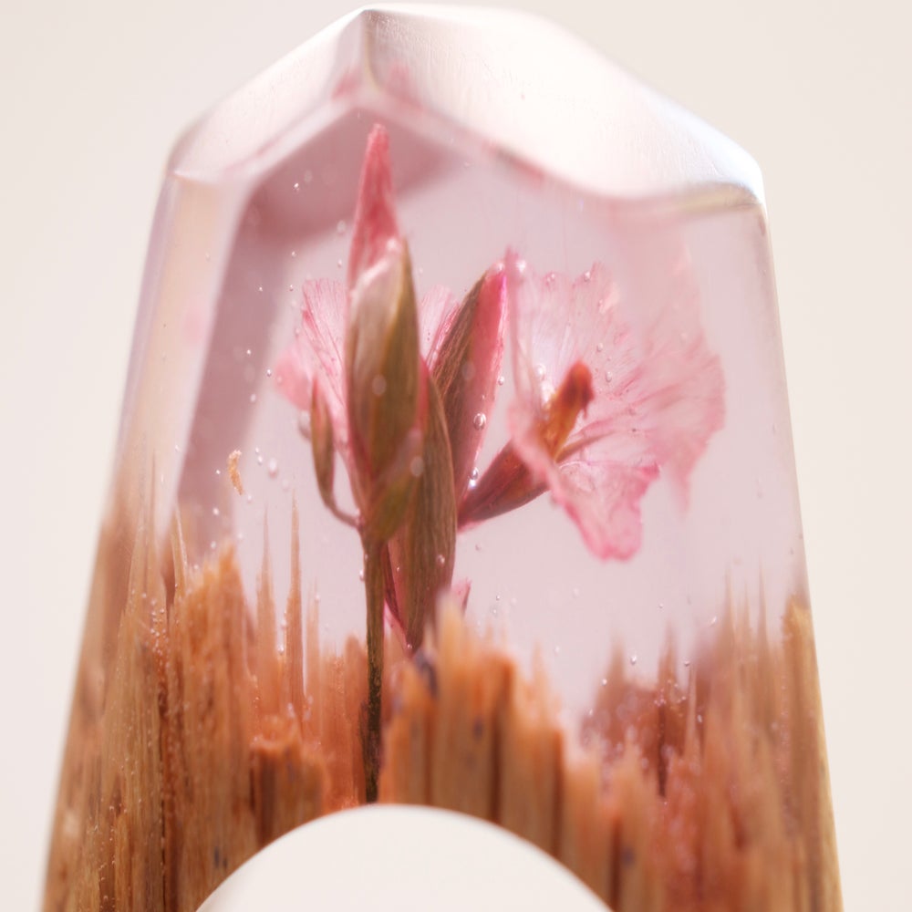 Image of Blossom Forest - limited collection