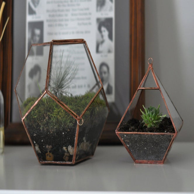 Universe Terrarium Kit, hinged / ABJ glassworks