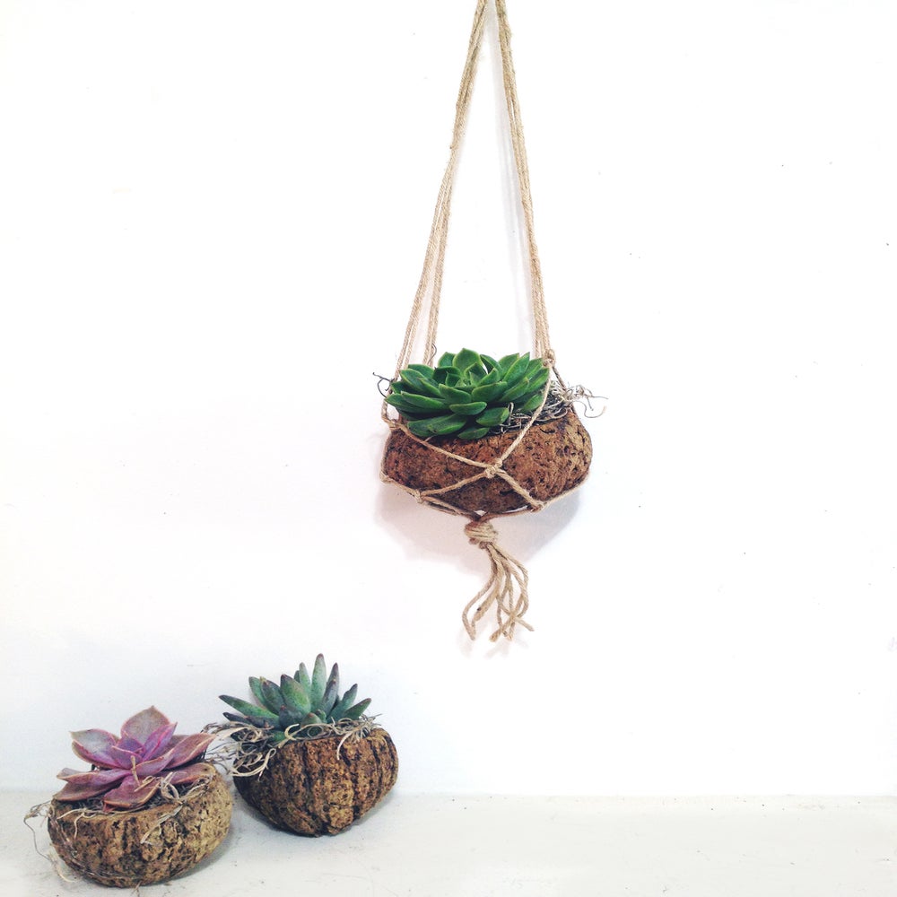 MAYAN COCO PLANTER chaparral studio
