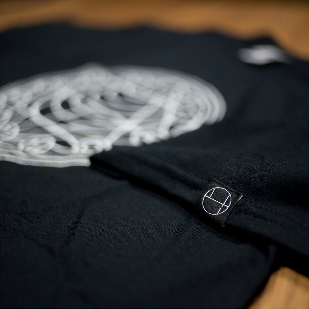 free Echocardiography free