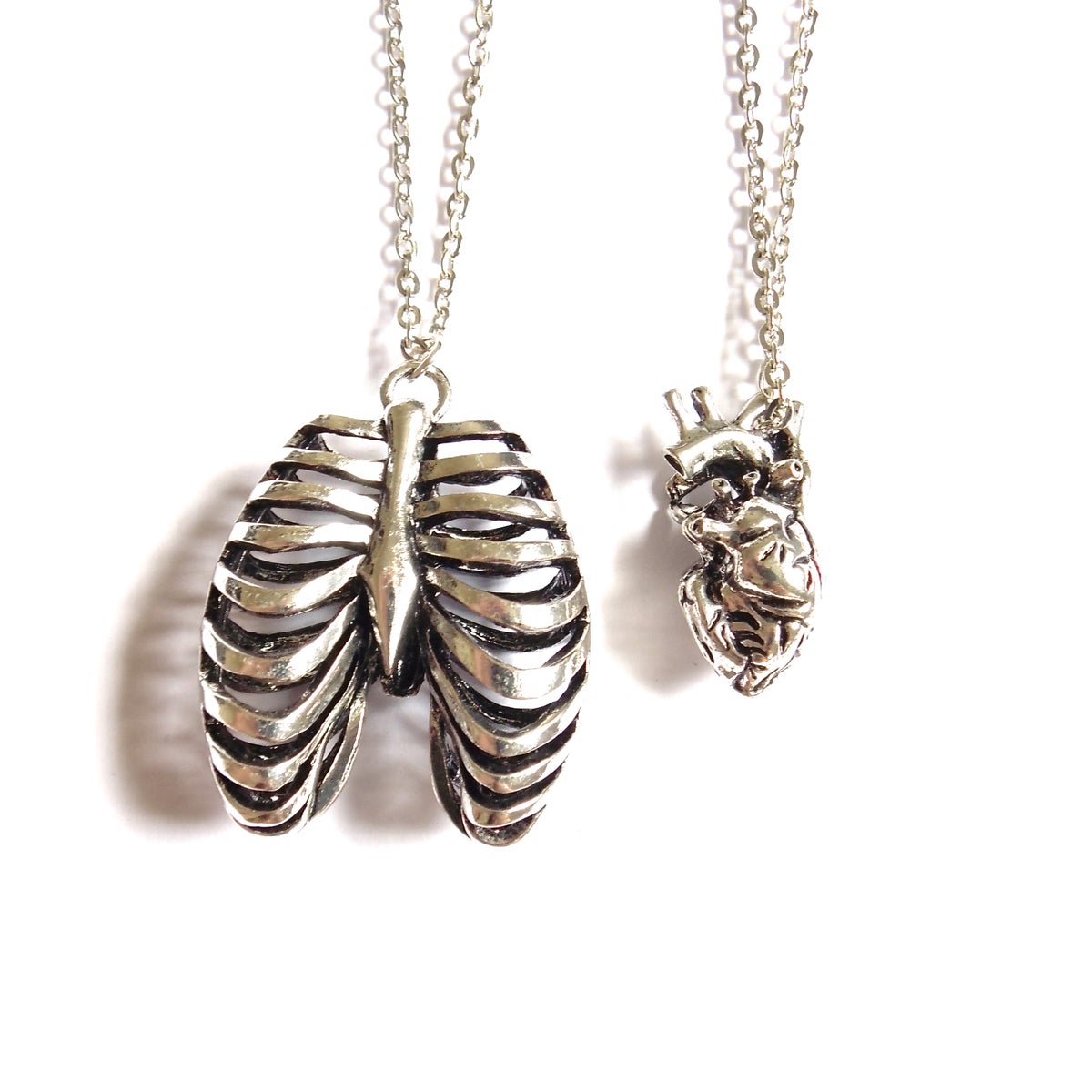 Empty Casket Jewellery — Human Anatomy Necklaces