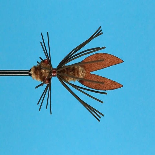 Eastern Trophies Fly Fishing — Clawdad