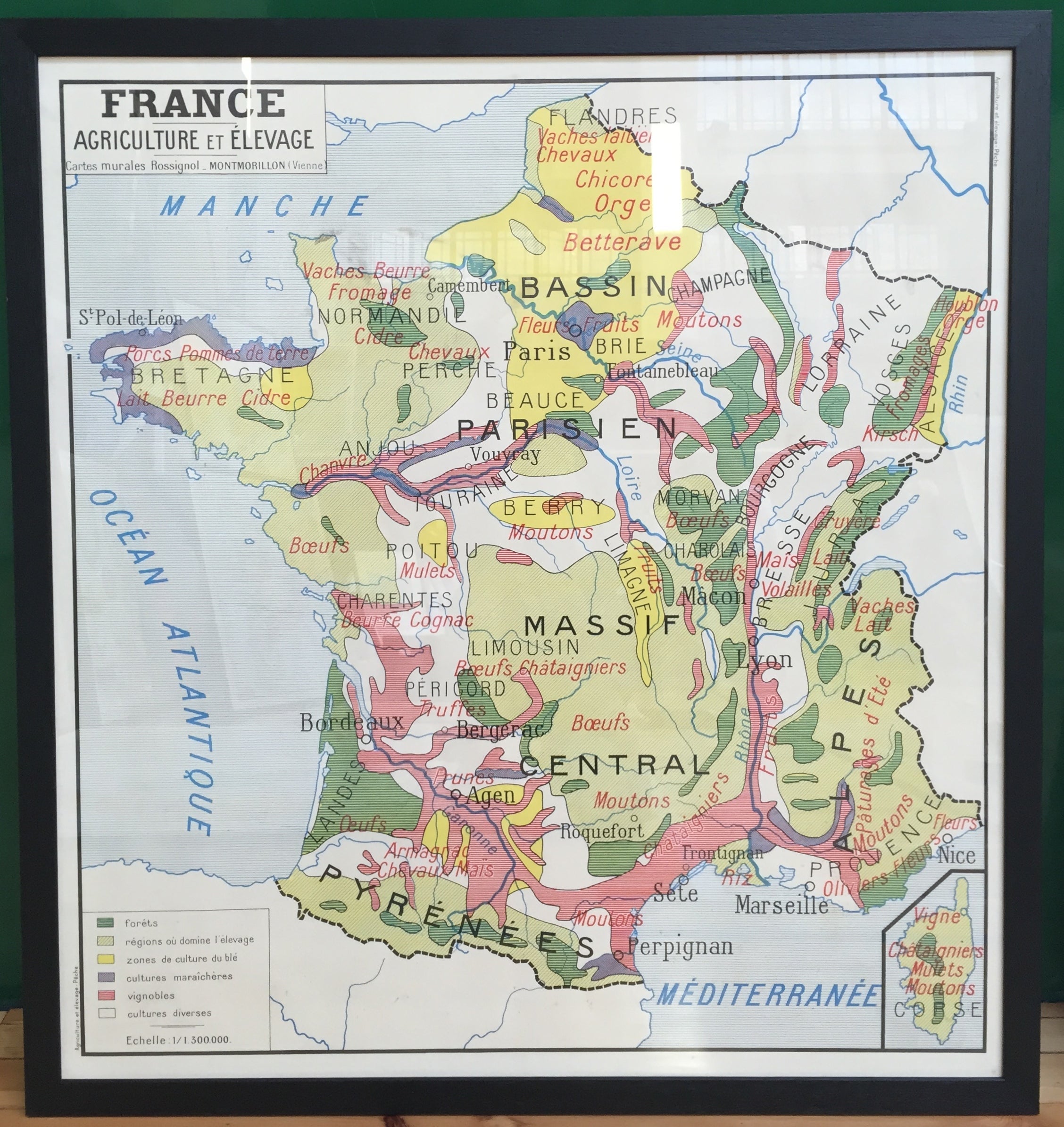 1950s French School Map of France Agriculture / retroMaps
