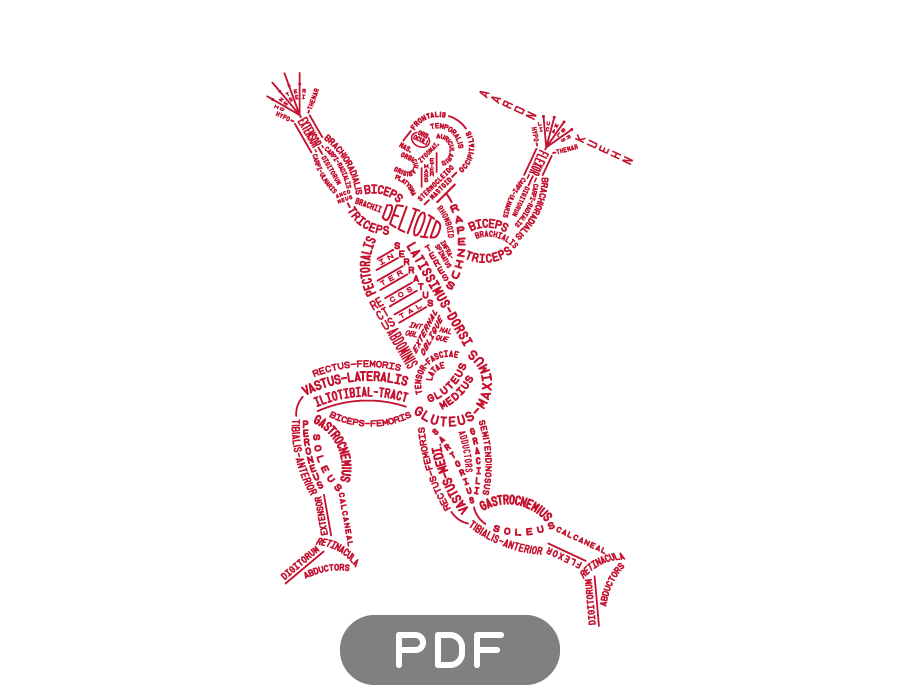 Aaron Kuehn — Muscular Typogram - PDF Aaron Kuehn — Muscular Typogram - PDF