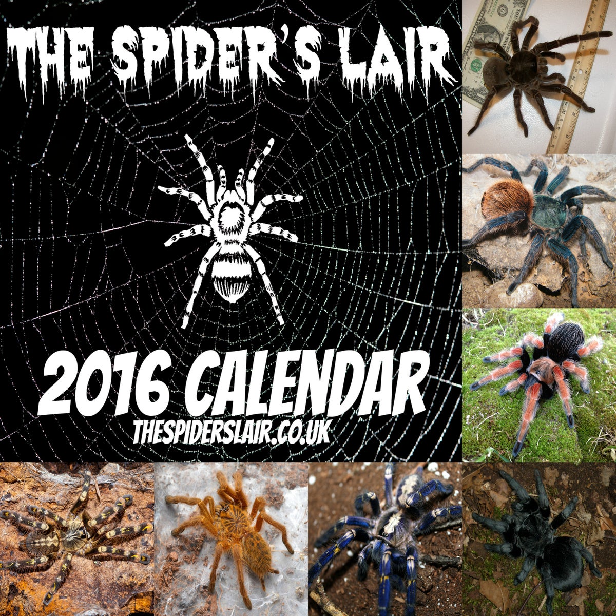 The Spider's Lair Official 2016 Calendar / The Spider's Lair
