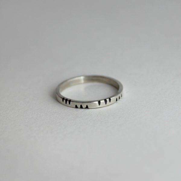 Image of Claw Marks Ring