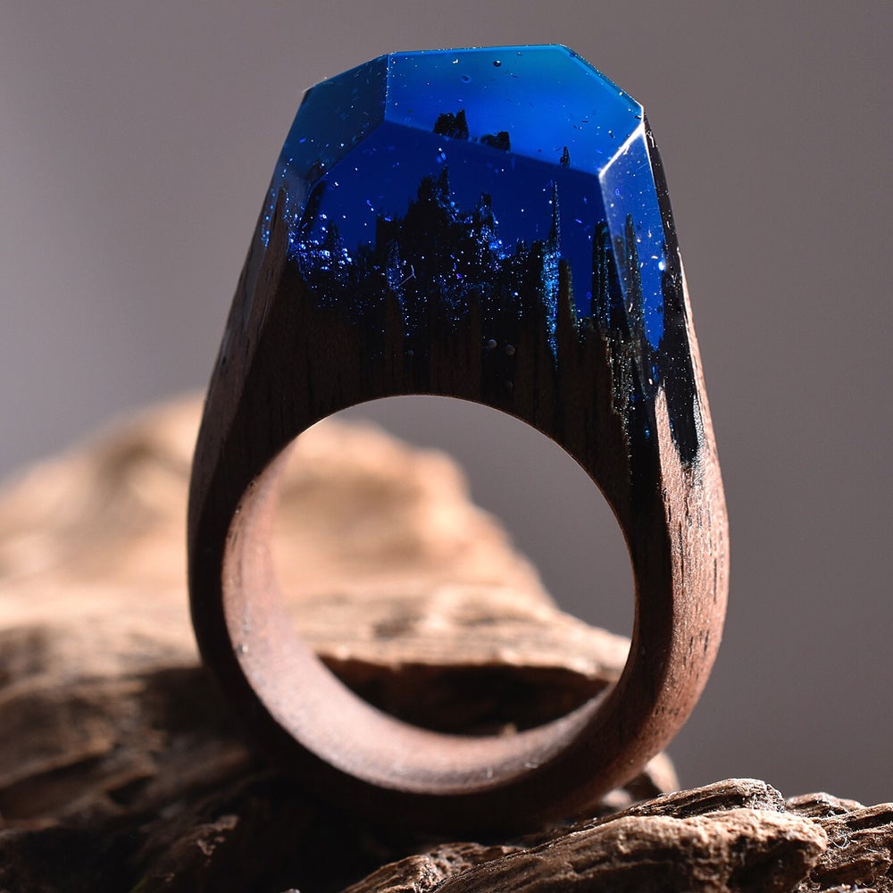 Image of Delicate Dark Arctic Forest