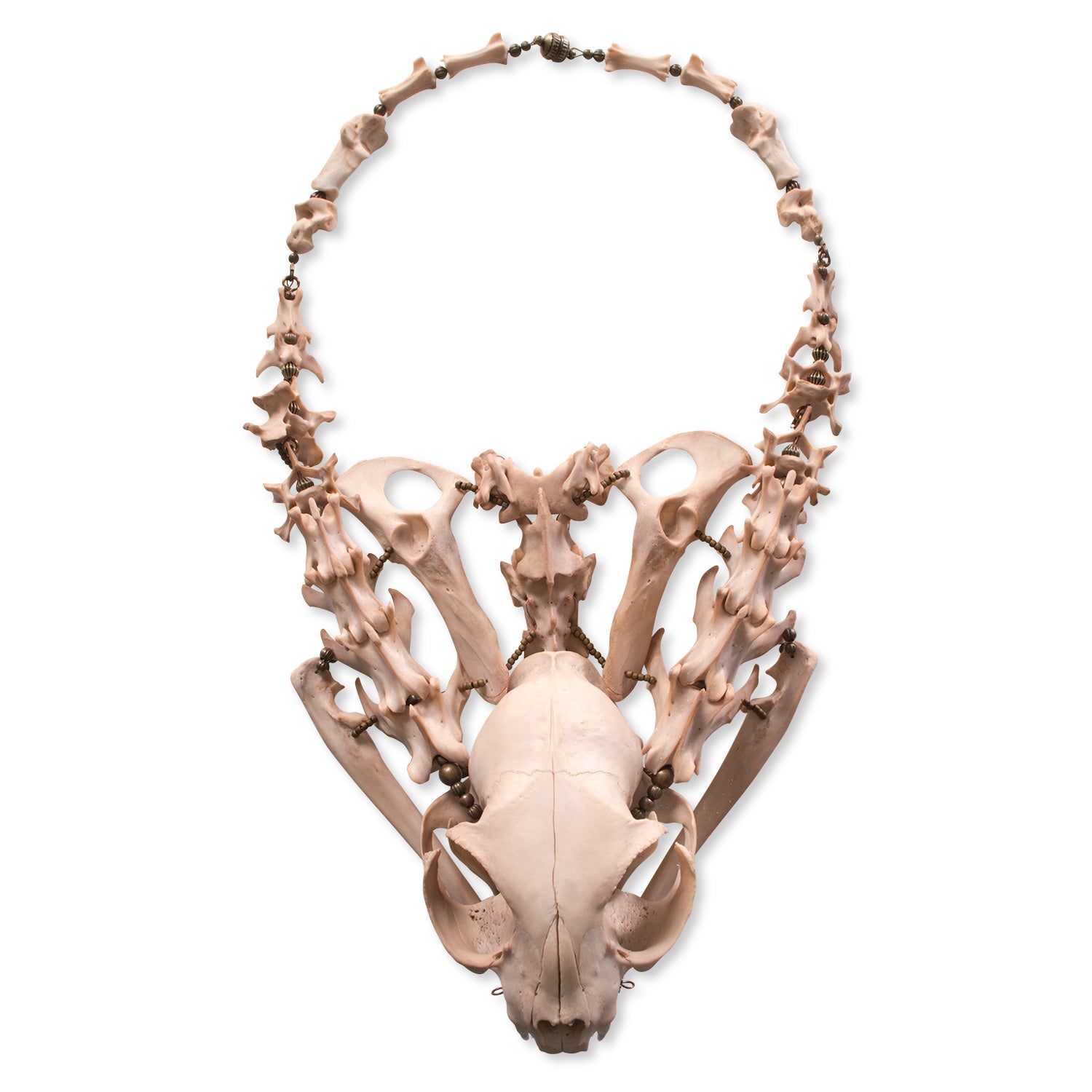 skull and bones necklace