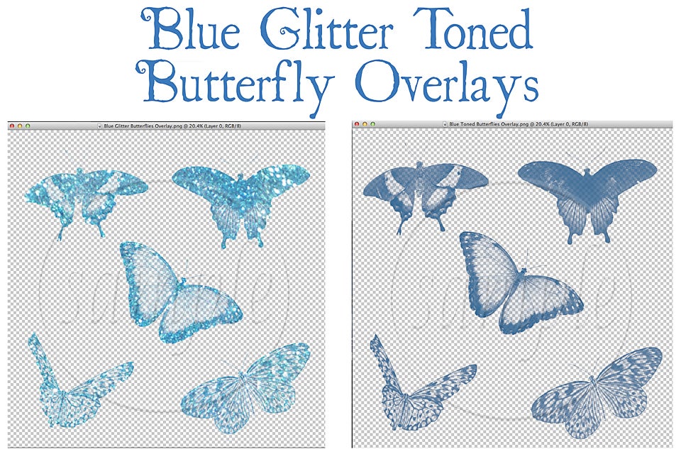 blue butterfly overlay