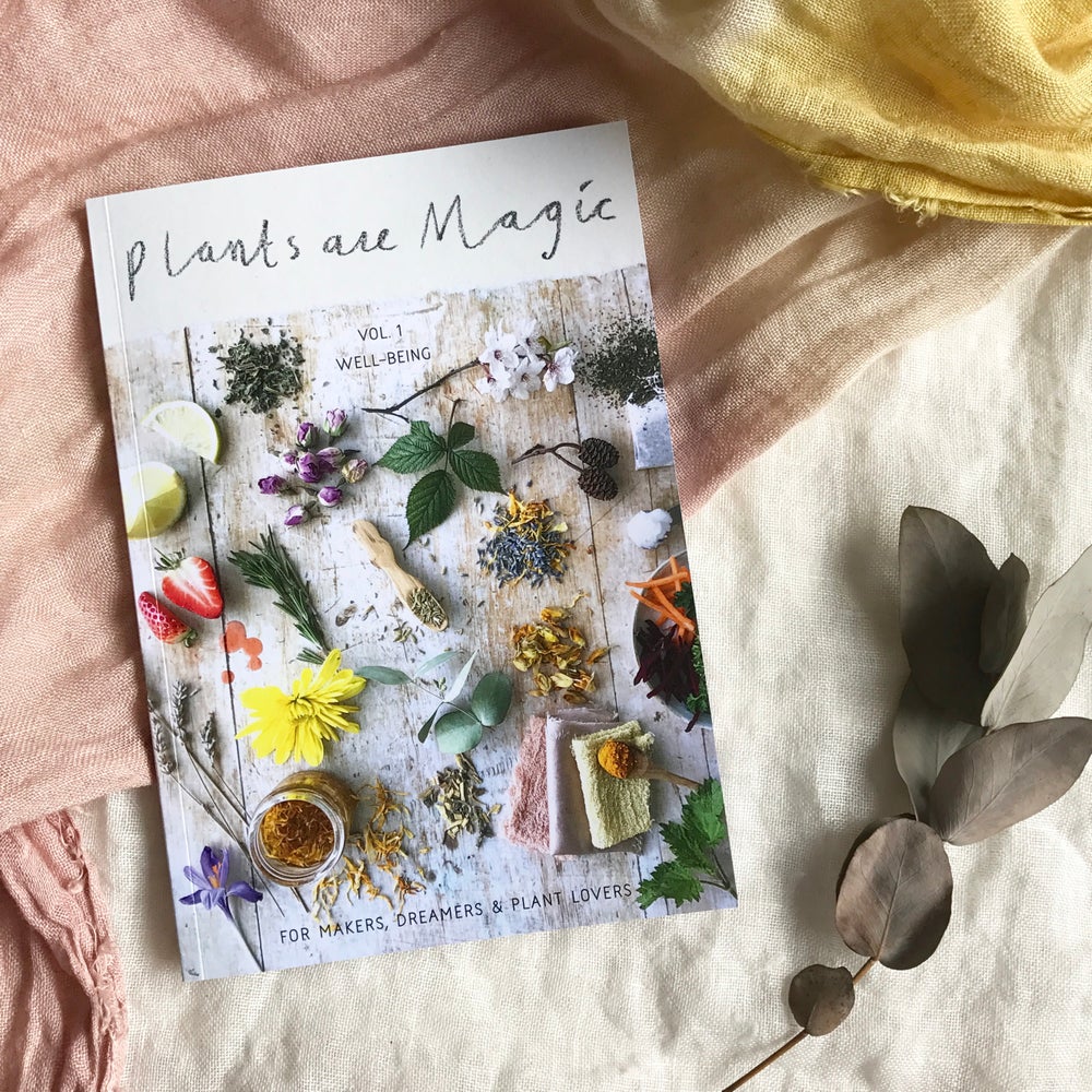 Image of Vol 1. Plants Are Magic Magazine