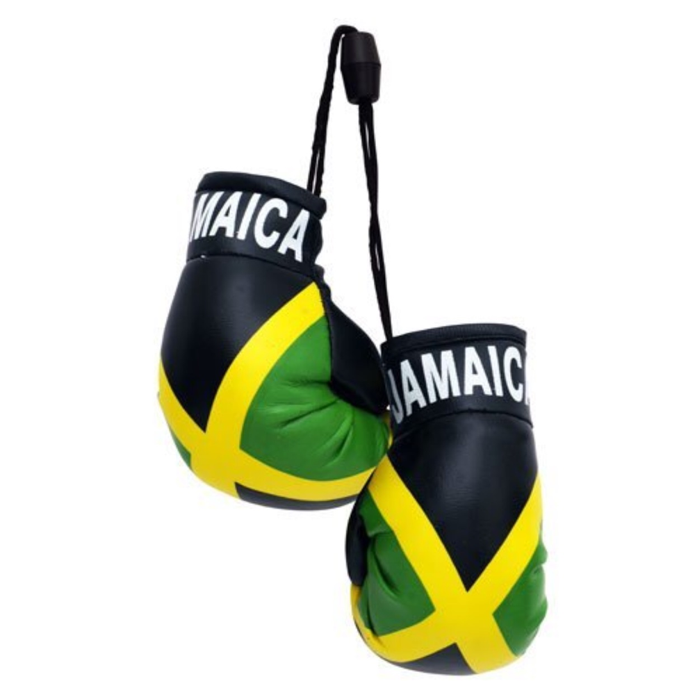 Car Accessories Everything Jamaica