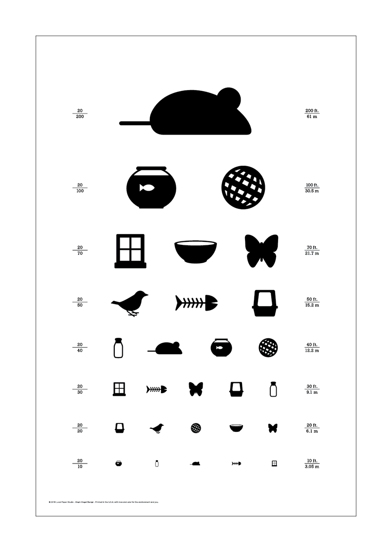 12" x 18" Cat Eye Chart Classic Size Poster Local Paper Studio