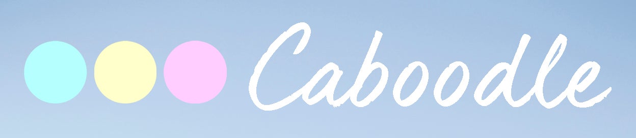 caboodle logo